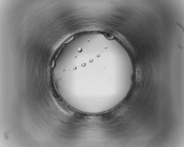 X0000102290436200808151957