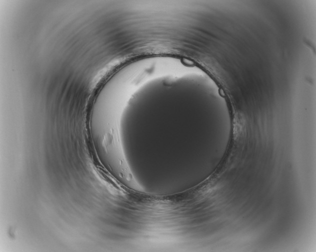 X0000102290438200808151957