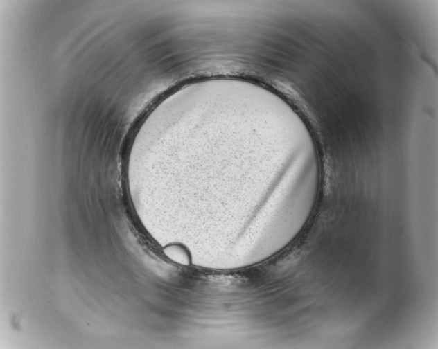 X0000102290439200808151957