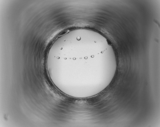 X0000102290440200808151957