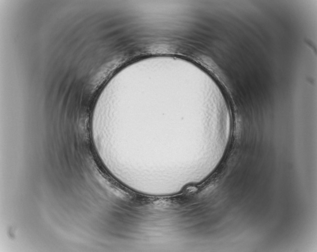 X0000102290441200808151957