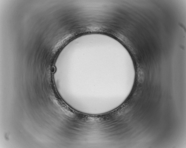 X0000102290442200808151957