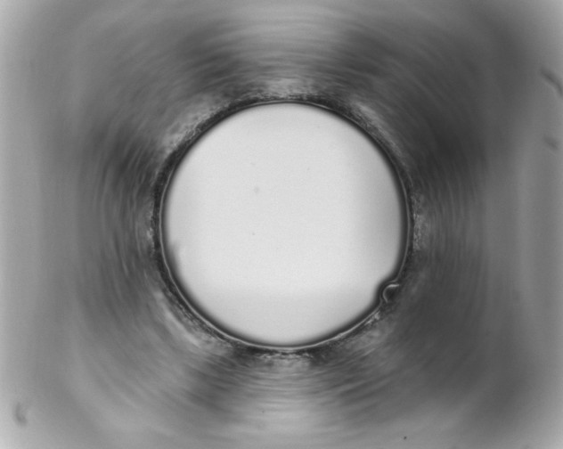 X0000102290443200808151957