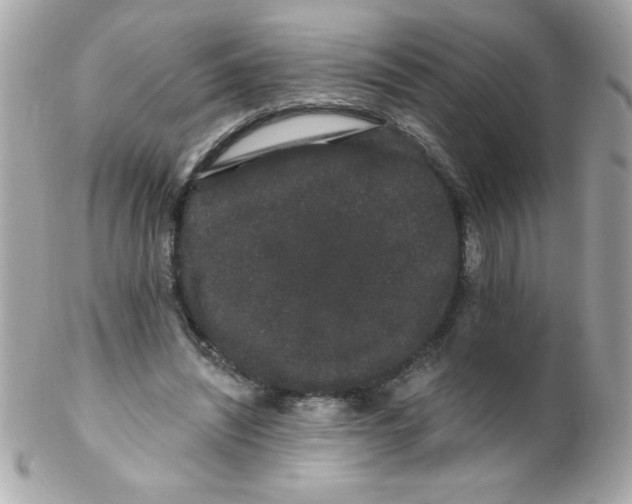 X0000102290444200808151957