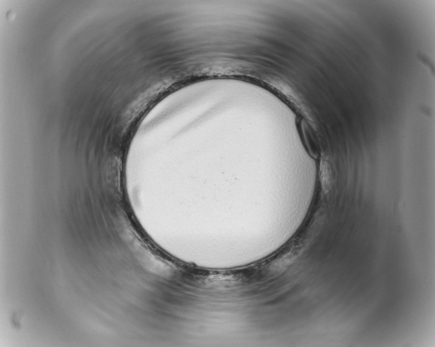 X0000102290445200808151957