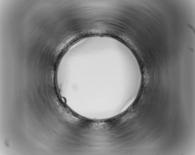 X0000102290446200808151957