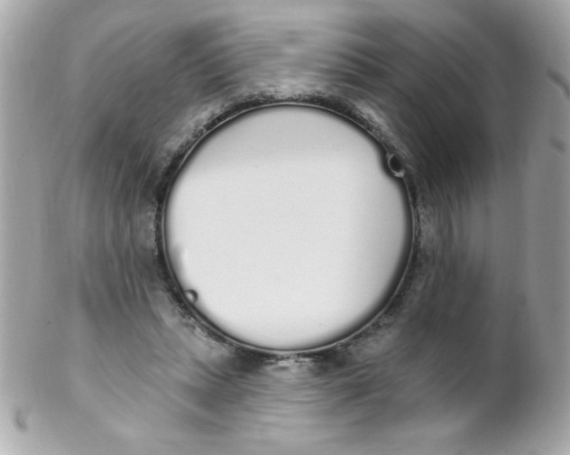 X0000102290447200808151957