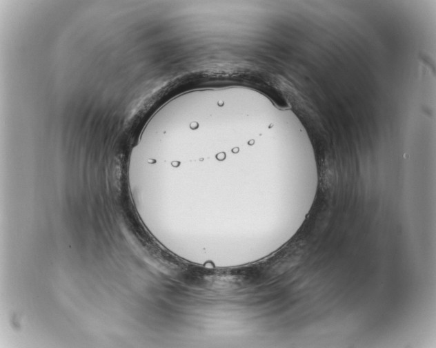 X0000102290448200808151957