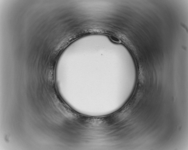 X0000102290449200808151957