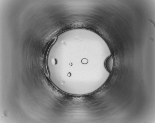 X0000102290450200808151957