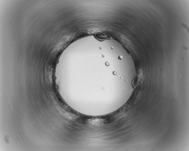 X0000102290452200808151957