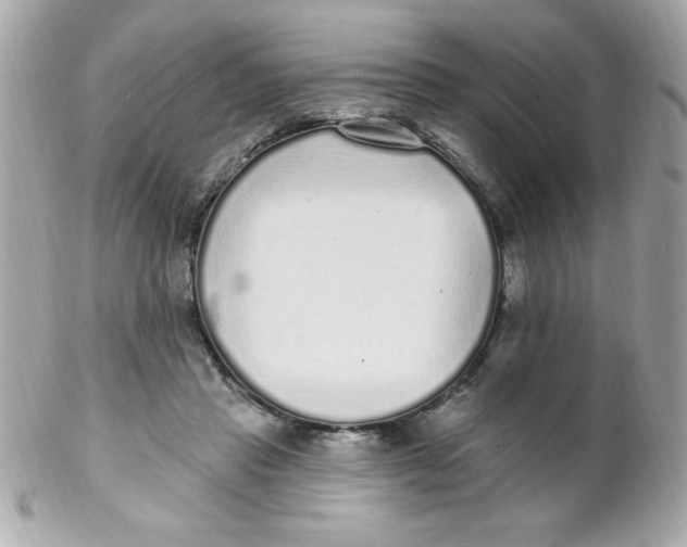 X0000102290453200808151957