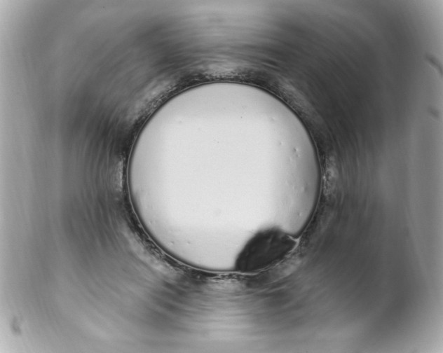 X0000102290454200808151957