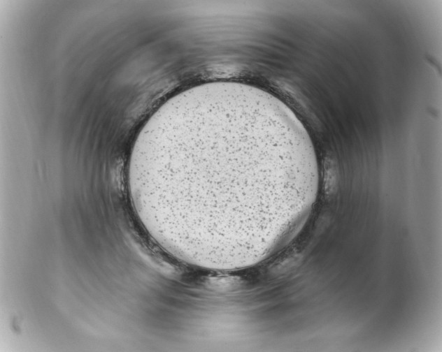 X0000102290455200808151957