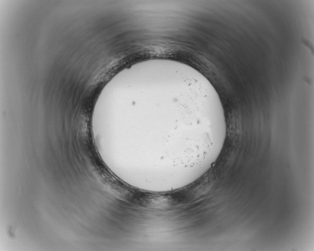 X0000102290456200808151957