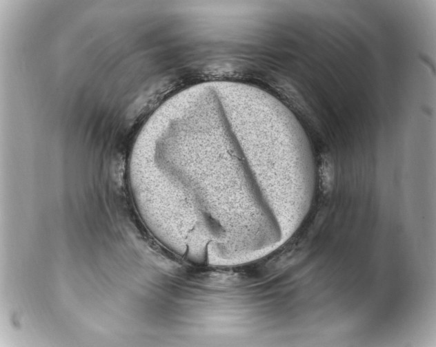 X0000102290458200808151957