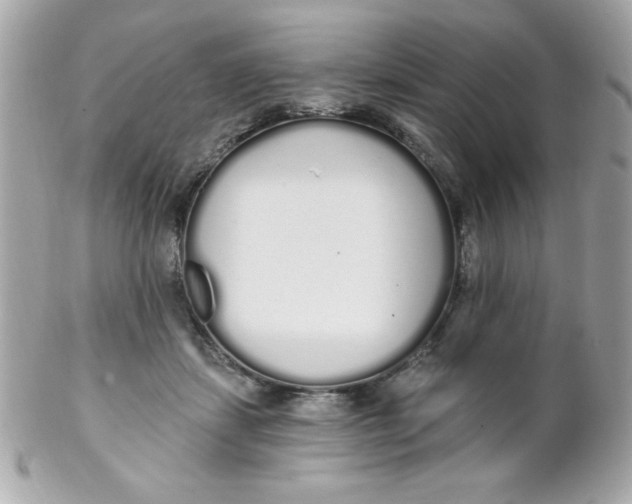 X0000102290459200808151957