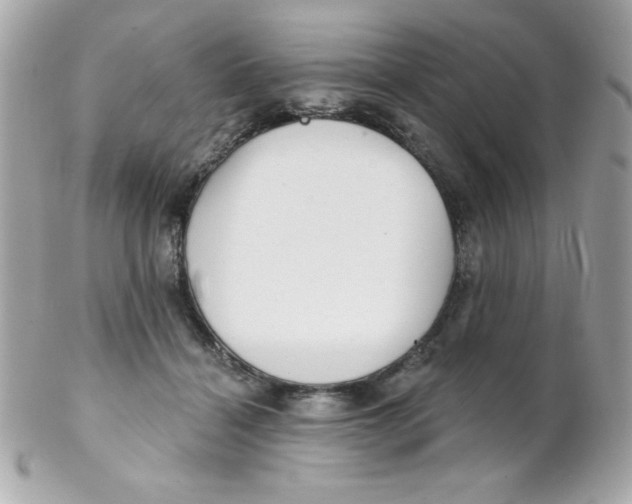 X0000102290460200808151957