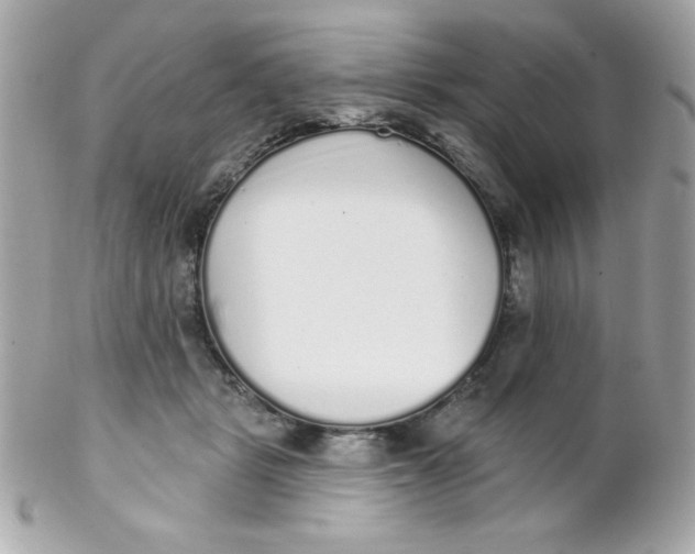 X0000102290461200808151957