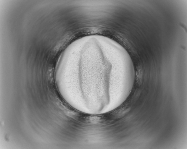 X0000102290462200808151957