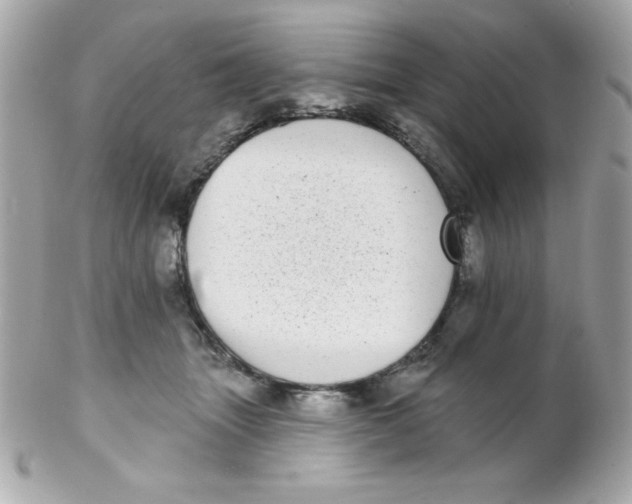 X0000102290463200808151958