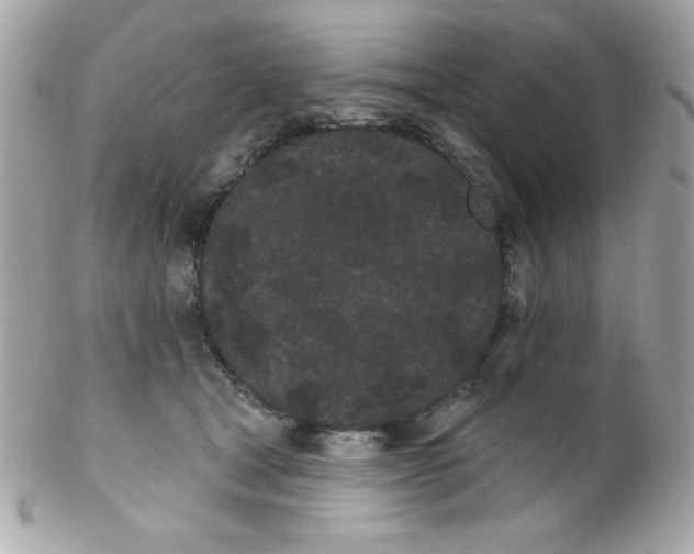 X0000102290465200808151958