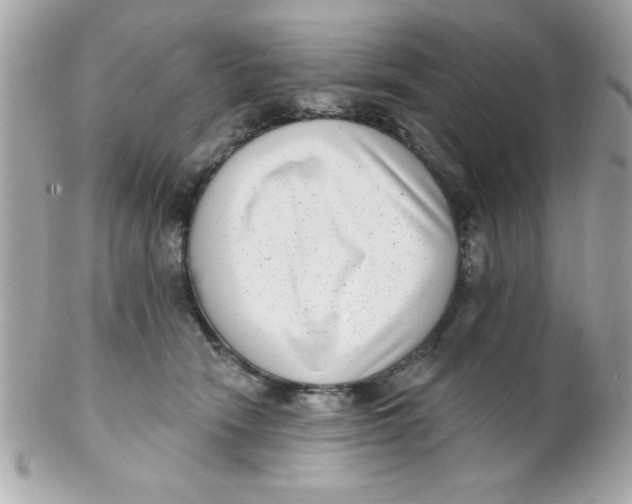 X0000102290466200808151958