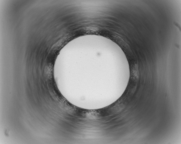 X0000102290468200808151958