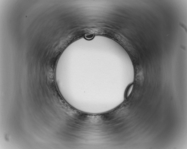 X0000102290469200808151958