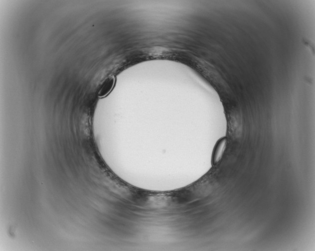 X0000102290470200808151958