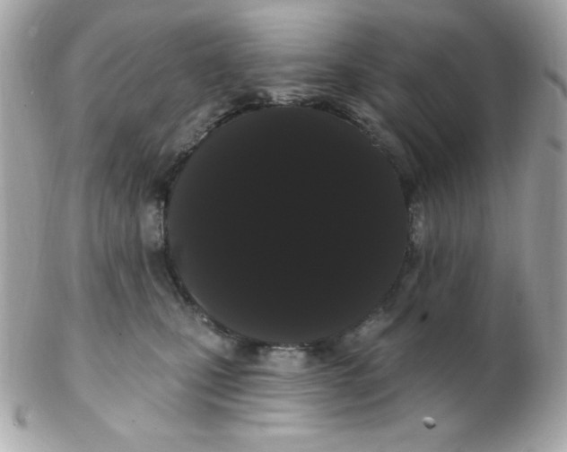 X0000102290471200808151958