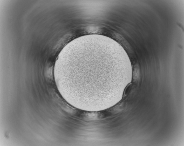 X0000102290473200808151958