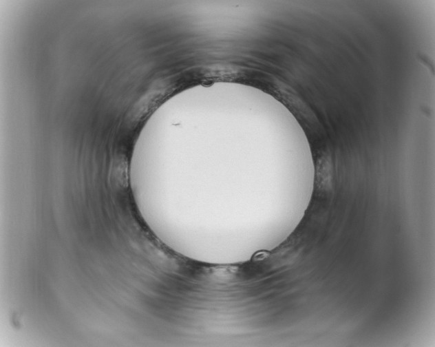 X0000102290474200808151958