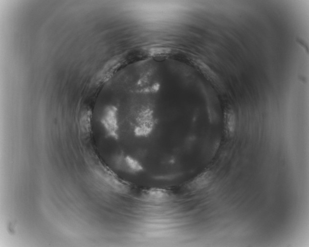 X0000102290475200808151958