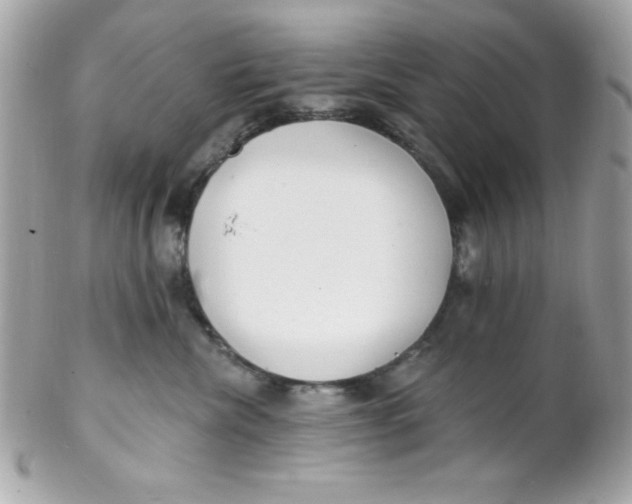 X0000102290476200808151958