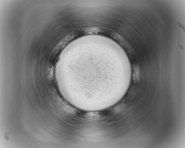 X0000102290477200808151958