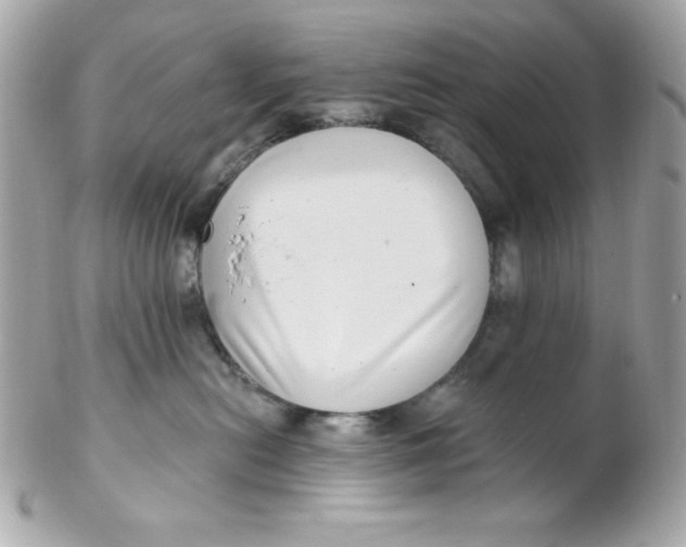 X0000102290478200808151958