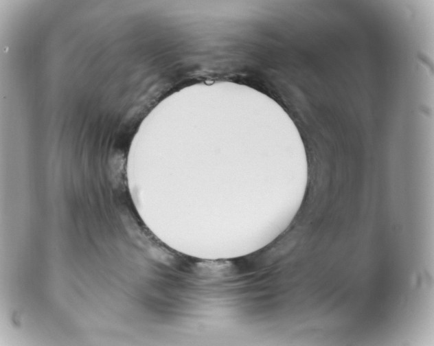 X0000102290480200808151958