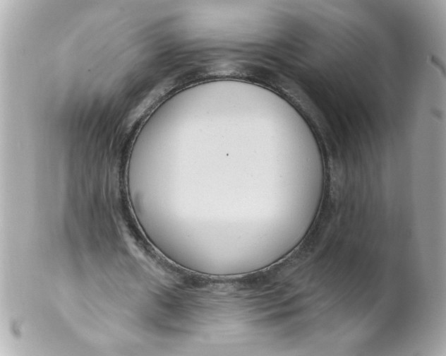 X0000102290482200808151957