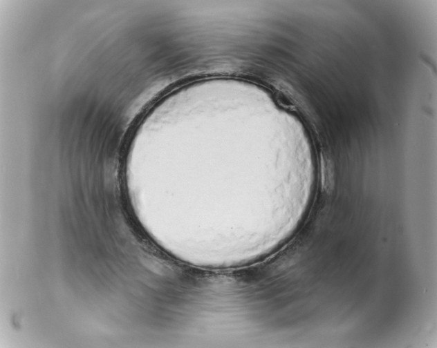 X0000102290483200808151957