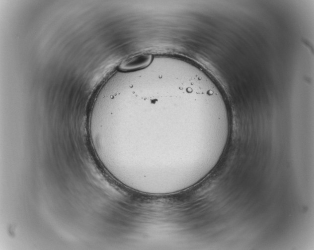 X0000102290485200808151957