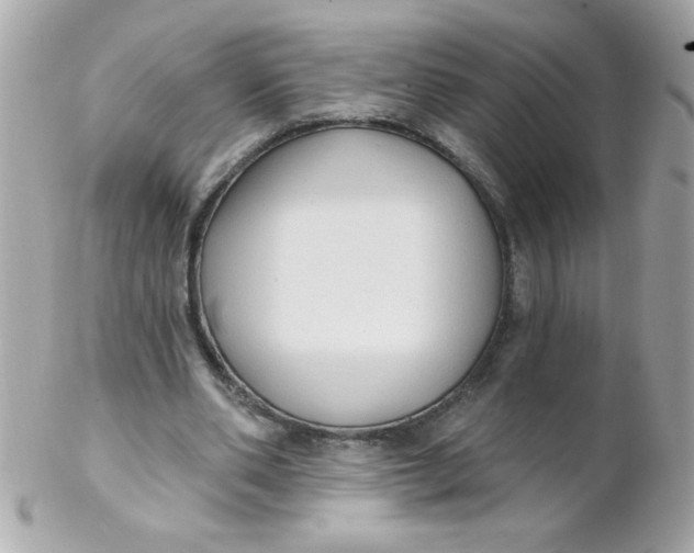 X0000102290486200808151957