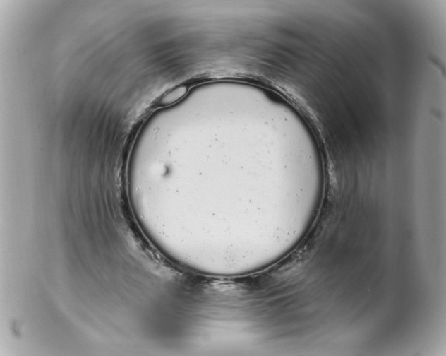 X0000102290487200808151957