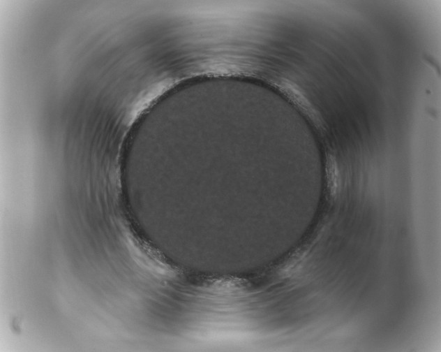 X0000102290488200808151957