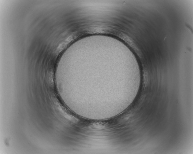 X0000102290489200808151957