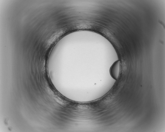 X0000102290490200808151957