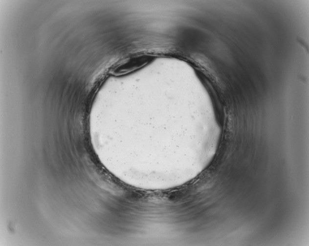 X0000102290491200808151957