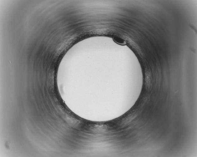 X0000102290493200808151957