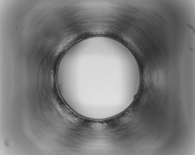 X0000102290494200808151957