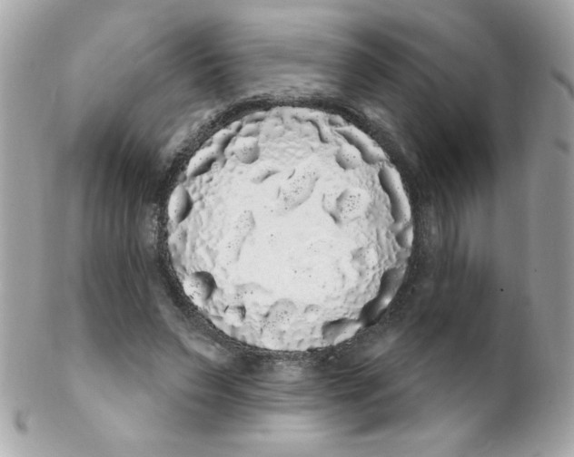 X0000102290495200808151957